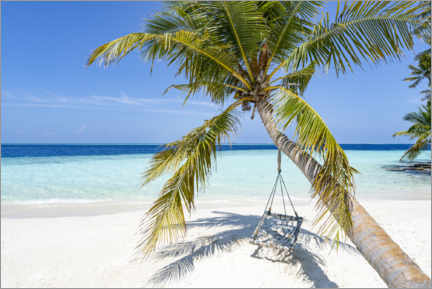 Akryylilasitaulu  Coconut tree with swing - Jan Christopher Becke