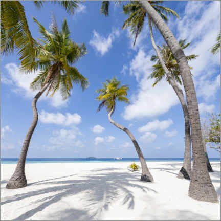 Cuadro de metacrilato  Playa de palmeras en el Pacífico Sur II - Jan Christopher Becke