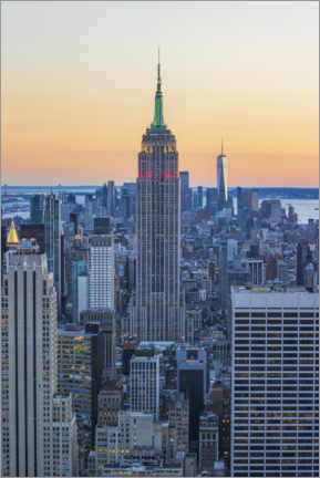 Stampa su tela  Empire State Building New York - Mike Centioli