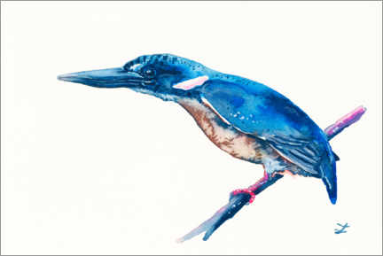 Poster Azurblauer Eisvogel