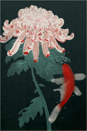 Tableau sur toile  Koi and Chrysanthemum - Duong Tu Tran