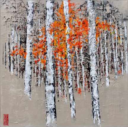 Tableau sur toile  Radiant birch trees in autumn - Eric Bourse