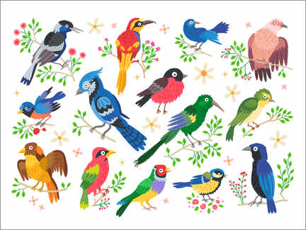 Plakat Colourful Birds I