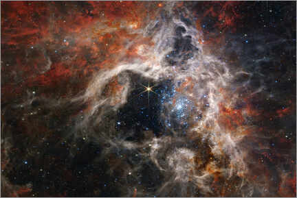 Canvas-taulu  Tarantula Nebula, James Webb Telescope, 2022 - NASA
