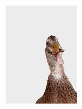 Poster Happy Duck