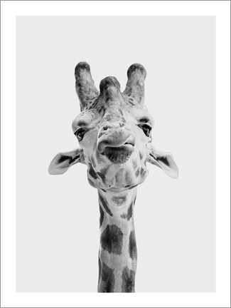 Lærredsbillede  Giraffe I - Animal Kids Collection