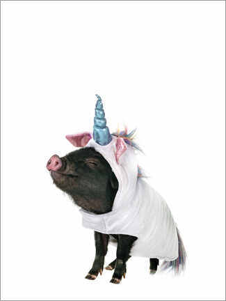 Taulu  Unicorn Piglet II - Animal Kids Collection