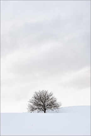 Wandbild  Winterlandschaft mit Baum - Bettina Dittmann