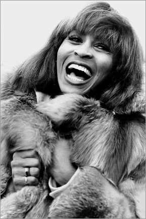 Hartschaumbild  Tina Turner, 1978