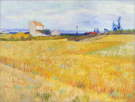 Póster  Cornfield - Vincent van Gogh