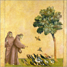 Stampa su tela  S. Francesco d&#039;Assisi tiene una predica agli uccelli - Giotto di Bondone