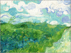 Reprodução Campo de trigo verde, Auvers - Vincent van Gogh