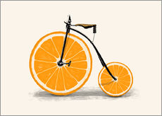 Wandsticker Orangen-Rad - Florent Bodart