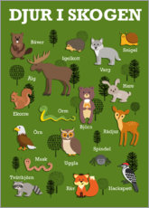 Reprodução  Os animais da floresta (sueco) - Kidz Collection