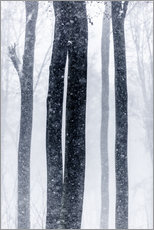 Póster Snow Trees 2