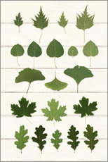Tableau Formes de feuilles - Wild Apple Portfolio