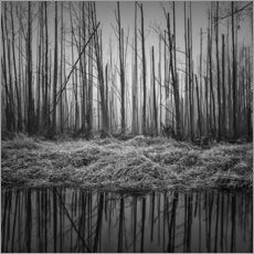 Wall print  Gloomy forest - Thomas Wegner