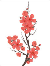 Billede  Cherry blossoms coral