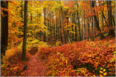 Poster Herbst im Laubwald