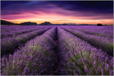 Canvastavla  Mindfulness - Jorge Maia