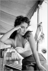 Tableau  Elizabeth Taylor - Celebrity Collection