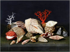 Print  Stilleven met schelpen en koralen - Jacques Linard