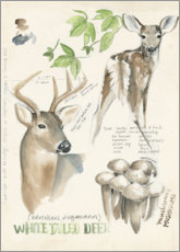 Wall print  Whitetailed deer &amp; forest mushrooms - Jennifer Parker