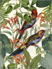 Akrylbilde Tropiske fugler - Andrea Haase