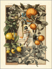 Leinwandbild Zitronen und Orangen - Anton Seder