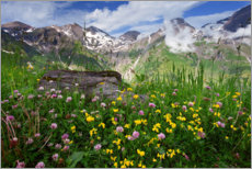 Póster Prado da montanha de Hohe Tauern