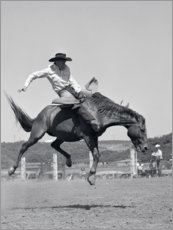 Póster  Mostra cavalo ocidental