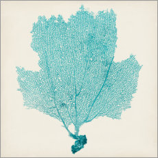 Plakat  Sea fan turquoise - Vision Studio