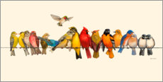 Canvas print  Bird Menagerie I - Wendy Russell