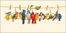 Print  Vogel menagerie II - Wendy Russell
