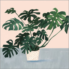 Reprodução  Monstera no pote manchado - Victoria Borges