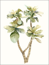 Poster Tropische Pflanze II