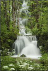 Poster Cascade dans une forêt française