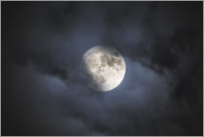 Poster Full moon