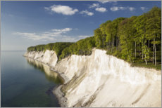 Poster Chalk cliffs in spring