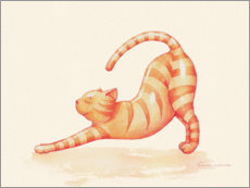Plakat Yoga Cat
