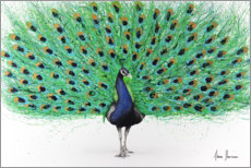 Obraz na szkle akrylowym  Proud Peacock - Ashvin Harrison