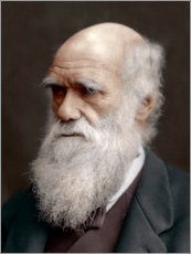 Wandbild Charles Darwin