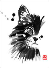 Obra artística  Retrato de gatito - Péchane