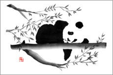 Poster Panda sleeping
