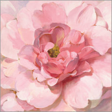 Plakat Blushing peony