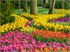 Poster Lisse in the spring