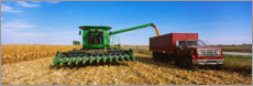 Billede  Combine harvests corn on a truck