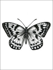 Wall print  Butterfly - Lisa Alderson