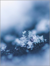 Poster The first snow