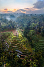 Poster Reisfelder und Vulkan, Bali